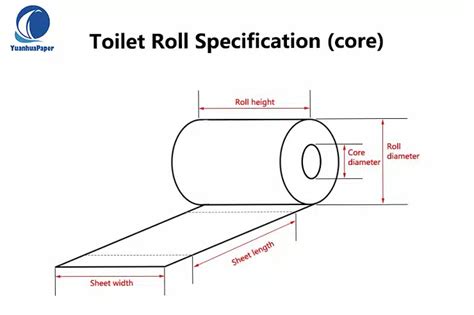 Toilet Paper Roll Dimensions (Size Chart Included), 56% OFF