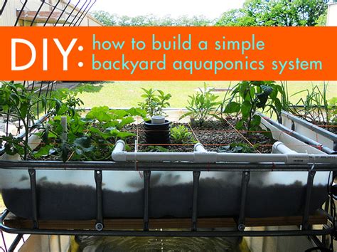 Diy Aquaponic System Plans ~ Make Aquaponics