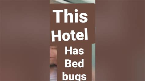 This Quality Inn Hotel Has Frickin Bed Bugs😐🤨🤔🤨😑🤧🤢🤮🤮🤮🤒🤕😱😱😵🤭🤭🤭🤭 Youtube