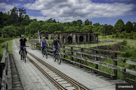 Cycling Over Bridge by Chris Chase - Truestock