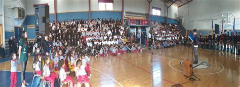 INICIO AÑO ESCOLAR COLEGIO CHARLES DARWIN PUNTA ARENAS