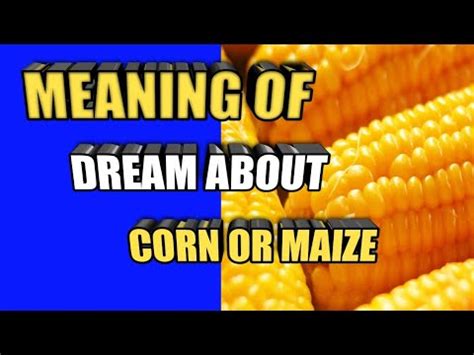 Biblical Meaning Of Corn Or Maize In The Dream YouTube