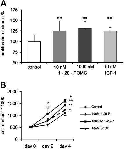 Concentration And Time Dependent Effect Of 1 28 POMC On Cell Viability