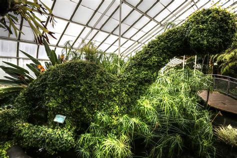 Buffalo Botanical Gardens: Everything You Need To Know | Plantly