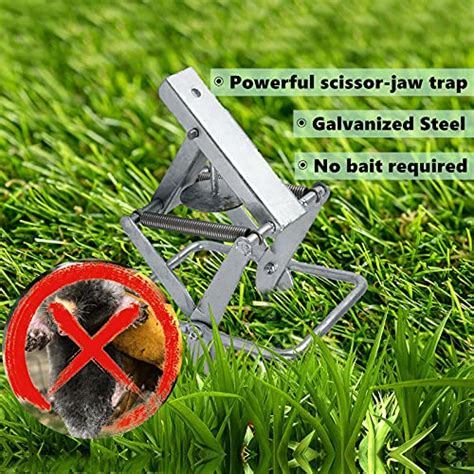 Fps 2 Pack Easy Set Mole Traps Easy One Step Out Of Sight Galvanized