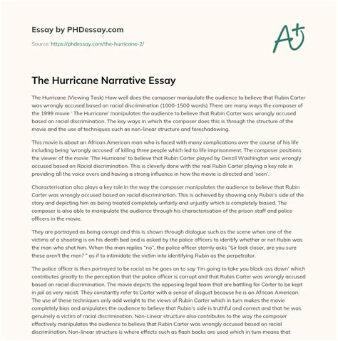 The Hurricane Narrative Essay PHDessay