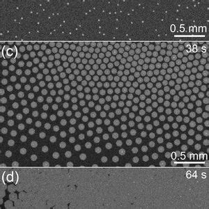 In Situ Optical Microscopy Images Of Different Graphene Growth Stages