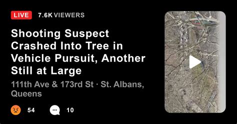 Shooting Suspect Crashed Into Tree In Vehicle Pursuit Another Still At Large Citizen Instant