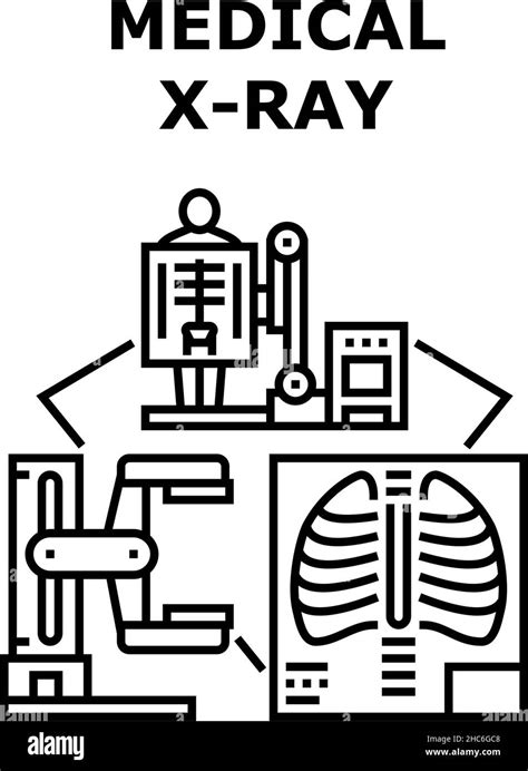 Medical X Ray Icon Vector Illustration Stock Vector Image And Art Alamy