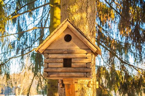 8 DIY Log Cabin Bird House Plans You Can Make Today With Pictures