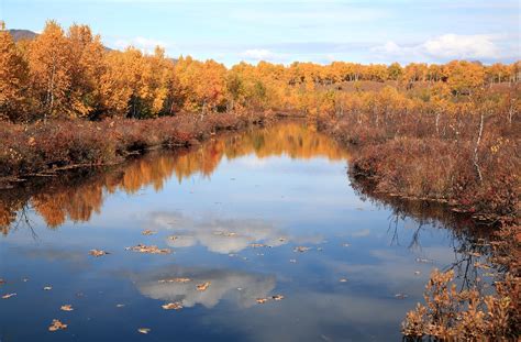 Autumn,forest,lake,reflection,autumn forest - free image from needpix.com