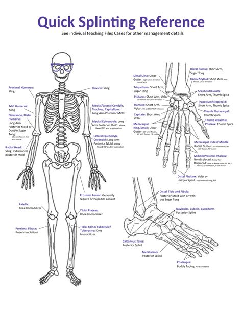 Orthopedic Teaching Feinberg School Of Medicine Northwestern University