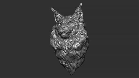 Maine Coon Head 3d Model By Guninnik81