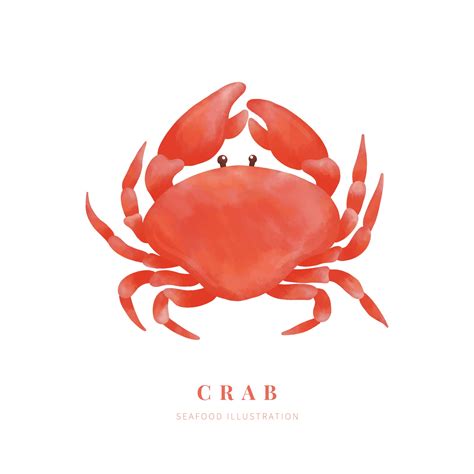 Watercolor Crab On White Background Digital Paint Vector Illustration