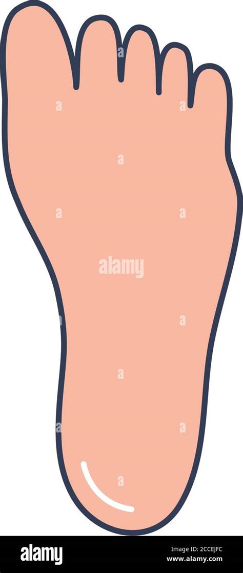 Human Body Concept Foot Icon Over White Background Line Fill Style