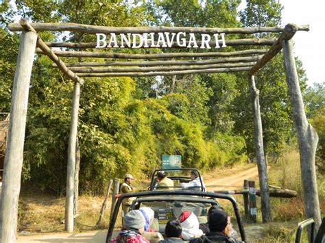 Bandhavgarh National Park