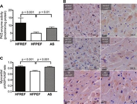 A Lower Pkg Activity In Myocardial Tissue Homogenates In Hfpef Than