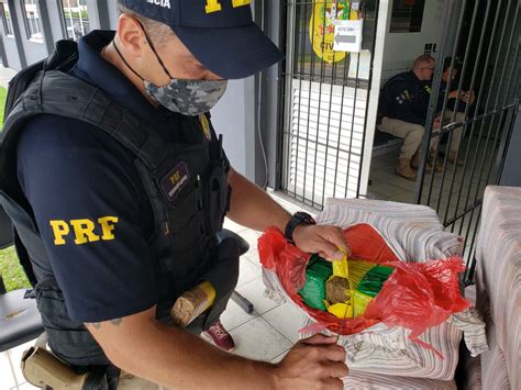 VÍDEO PRF apreende R 1 milhão em maconha na BR 101 em Imbituba