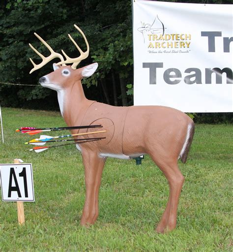 Gear Guide: Best Archery Targets for Bowhunting » Advanced Hunter