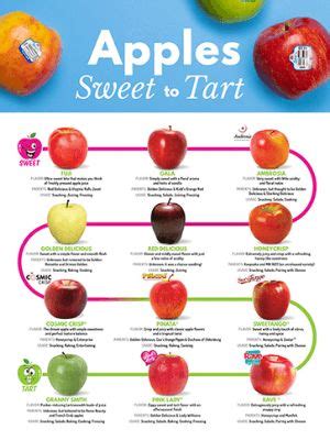 Apple Sweetness Scale How To Pick The Perfect One Apple Varieties