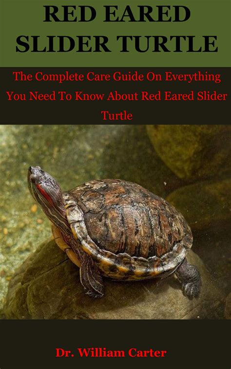 Red Eared Slider Turtle The Complete Care Guide On Everything You Need