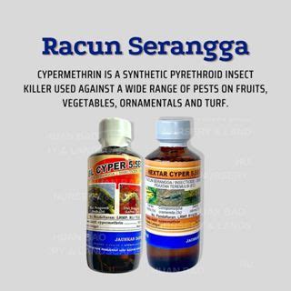 Hextar Bl Cyper Ec Racun Serangga Anti Semut Lalat Lipas Kuya Pokok