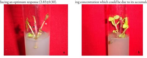 Figure From Control Of Shoot Tip Necrosis In Shoot Cultures Of