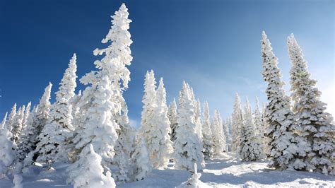 Steamboat Springs Colorado Is The Ideal Winter Sports Destination