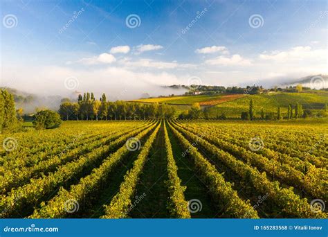 Aerial View Of A Rural Landscape During Sunrise In Tuscany Rural Farm