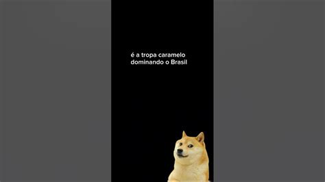 O Cachorrinho Caramelo Tá Correndo Atrás De Mim Youtube