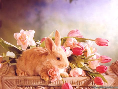 Easter Wallpaper and Screensavers - WallpaperSafari