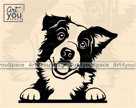 Border Collie Svg Dog Svg File For Cricut Face Peeking Head Etsy