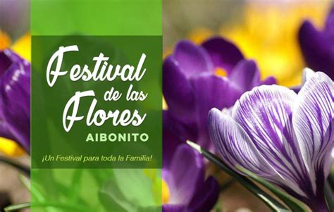 2024 Aibonito Flower Festival | Festival de las Flores | Discovering ...