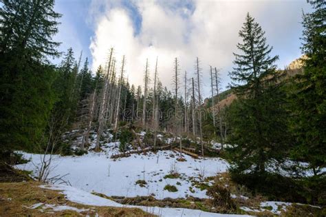 Tatra Mountains. Winter View of the High Tatra Mountains. Mountain ...