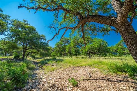 Texas Ranches :: Property Page :: Property Photos, Description, Brochure, Maps, Video and More!