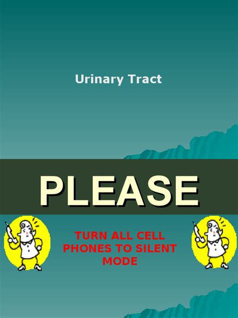 PDF 8 Urinary Tract DOKUMEN TIPS