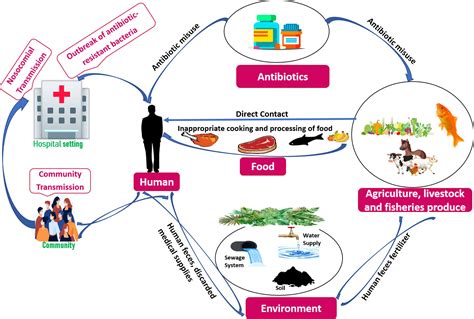 Frontiers Evolution And Implementation Of One Health To Control The