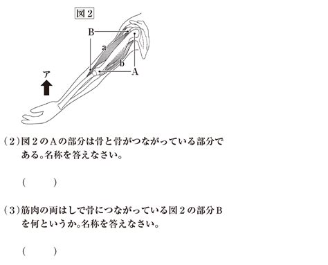 【中2理科】「筋肉と骨の働き」 練習編 映像授業のtry It トライイット