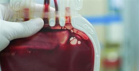 Hospital De Santa Maria Promove Recolha De Sangue