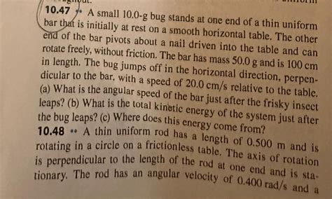 Solved A Small G Bug Stands At One End Of A Chegg