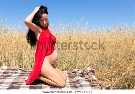 Beautiful Naked Pregnant Woman Wheat Field Stock Photo 1799281117 Shutterstock