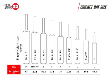 Cricket Bat Dimensions Drawings