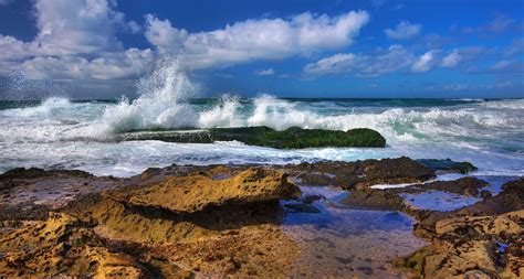 La Jolla Beach | La Jolla California