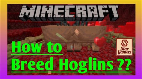 How To Breed Hoglins In Minecraft For Basic Learners Youtube