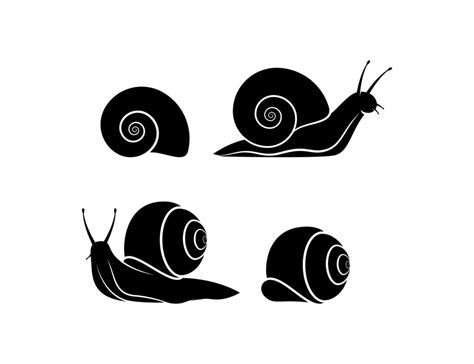 Snail Silhouette Vector Isolated On White Background Vector