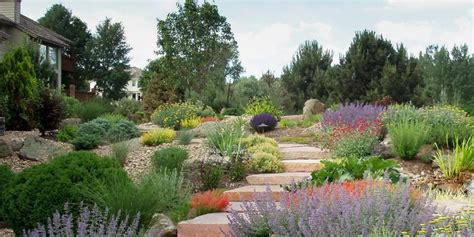 Xeriscaping Houston A Beginners Guide The Grass Store