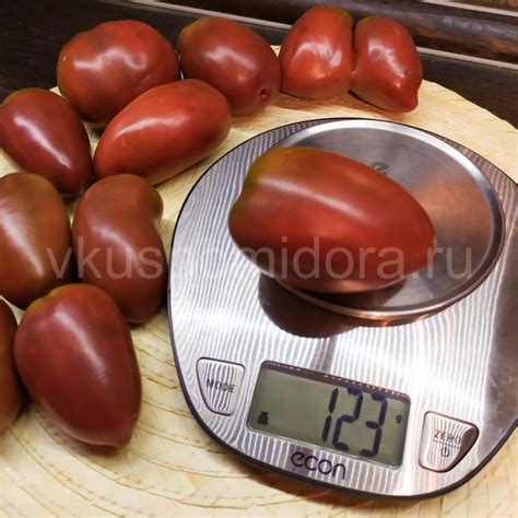 Купить семена томата сорт Гном Альмандин (Dwarf Almandine)