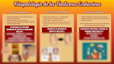 SOLUTION Fisiopatologia De Trastornos Endocrinos Infografia Studypool