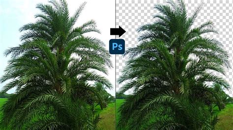 Background Remove In Photoshop Cc Easy Way Remove Background Photoshop Tutorial Youtube