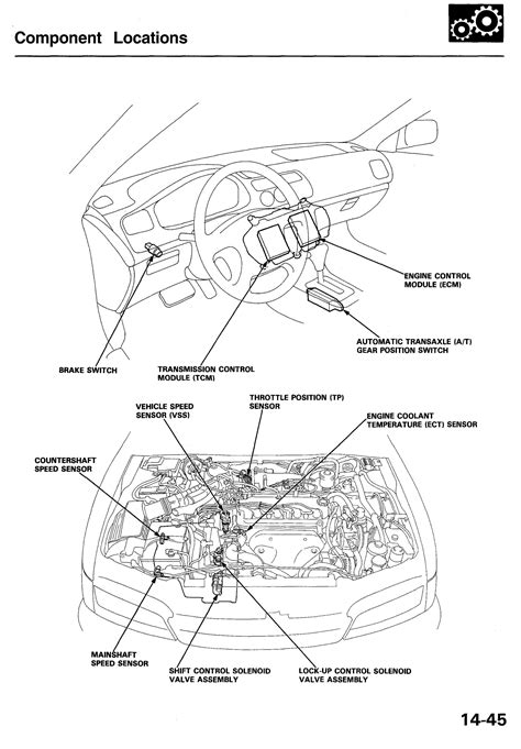 1994 Honda Accord Ex Engine Diagram Wiring Diagram And Schematics